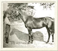 Old Fairyhouse