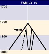 Family 19 Pedigree Tree