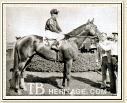 Whirlaway