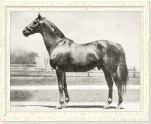 Man o'War