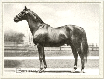 Man o' War