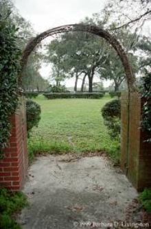 Ocala Stud cemetery