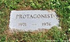 Protagonist