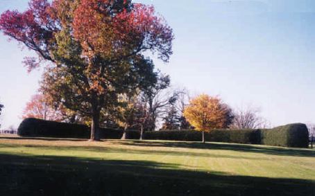 Castleton Farm